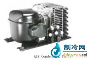 法國泰康風(fēng)冷式冷凝機(jī)組