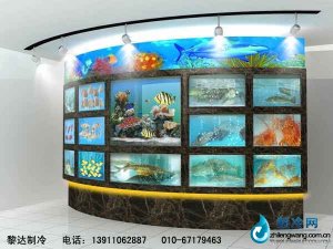 海鮮池魚(yú)缸ldzl108