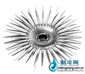 針碟