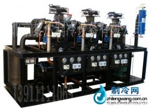 谷輪并聯(lián)制冷機(jī)組經(jīng)銷(xiāo)商