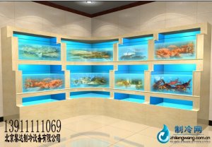 2014黎達(dá)制冷海鮮池工程