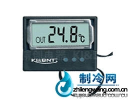 DS-2數字溫度計