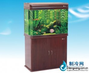 森森觀賞水族箱HRX-800