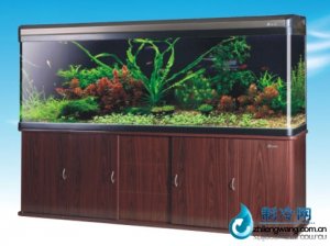森森觀賞水族箱HRX-1800F