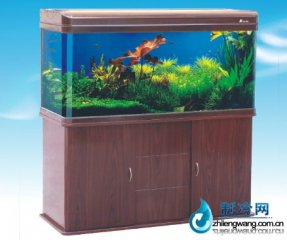 森森觀賞水族箱HRX-1000I