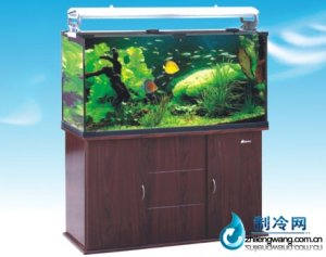 森森敞開式水族箱HK-1200