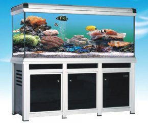 森森高檔龍魚缸CLY-2200