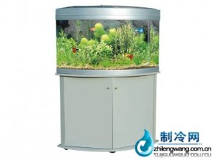 佳寶角形水族箱魚缸R480