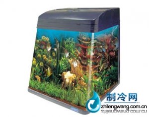 佳寶角形水族箱魚缸R550