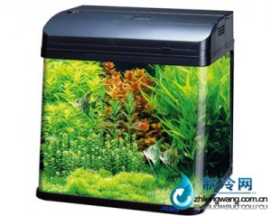 佳寶角形水族箱魚缸R538