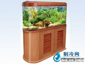 佳寶開放生態水族箱魚缸R9108