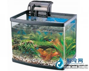 佳寶小型生態魚缸R38