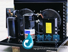 美國谷輪壓縮冷凝機組ZB21KC-TFD