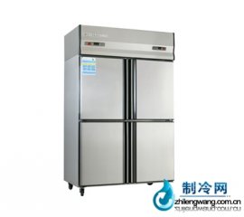 愛雪六門單溫冷凍冰箱
