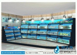 海鮮池魚缸ldzl133