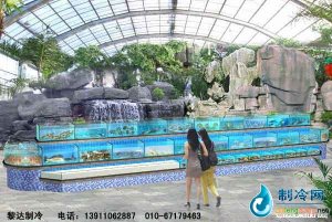  北京順義機場生態園海鮮池工程 
