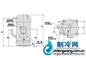  大金D系列三相壓縮機 