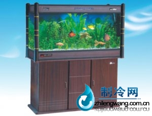 魚缸圖片
