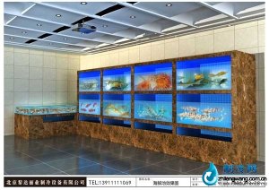 精美海鮮魚缸ldz200