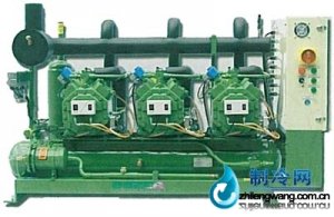  并聯機組 漢鐘日立螺桿式 