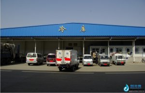  大型冷庫 