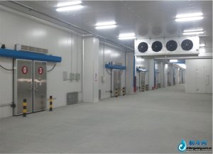  大型冷庫 
