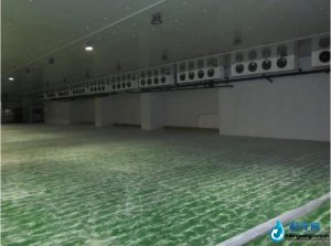 大型物流冷庫