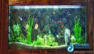 家用型觀賞性魚缸