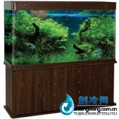 可麗愛家用型水族箱