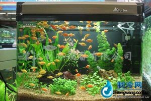 森森家用型水族箱