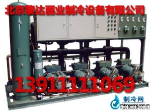 冷庫專用比澤爾并聯(lián)機(jī)組