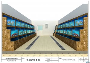 大型觀賞性魚缸